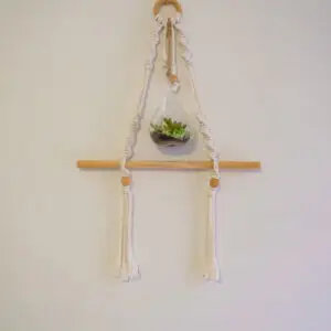 Hanging Oasis Terrarium